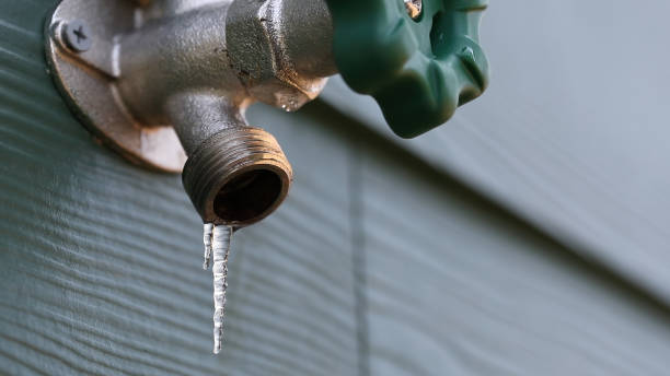 Best Shower Repair Services  in Greene, RI